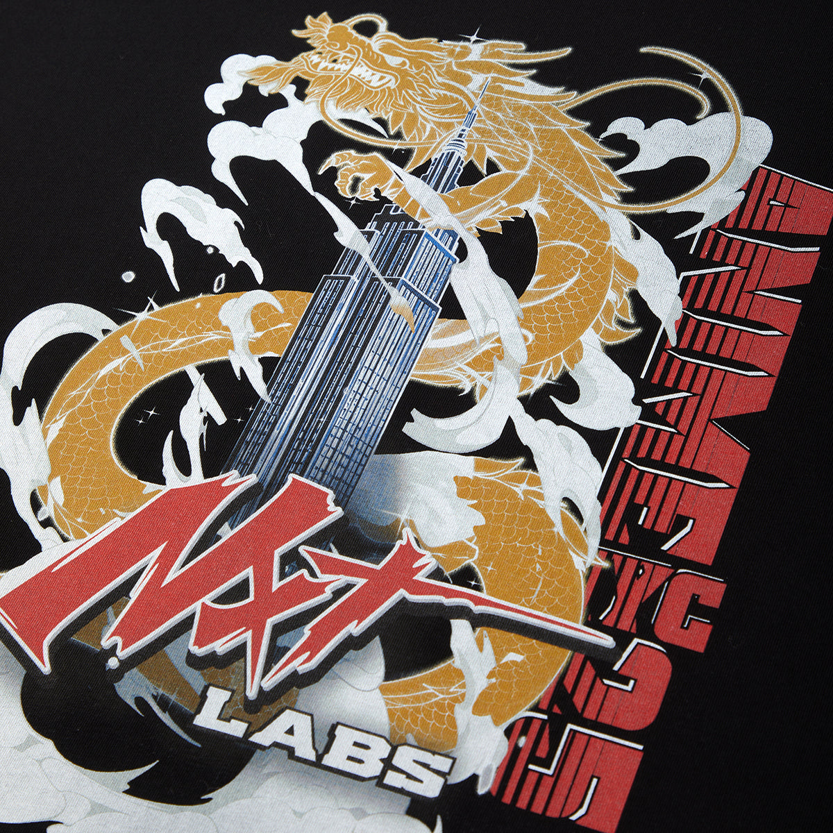 Logo with a dragon, skyscraper, and 'MAX LABS' text on a black background